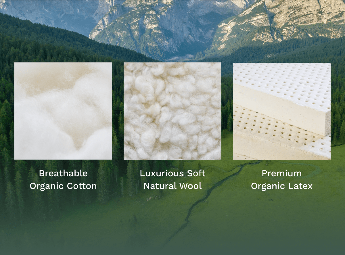 Birch Natural Mattress by Helix